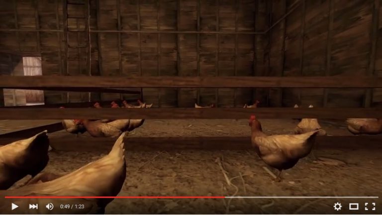 Nunca mais mate a galinha do Counter-Strike