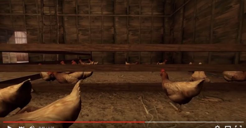 Nunca mais mate a galinha do Counter-Strike
