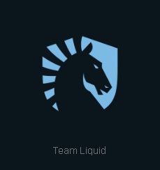 Liquid