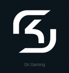 Gols da partida SK Gaming x Virtus.pro