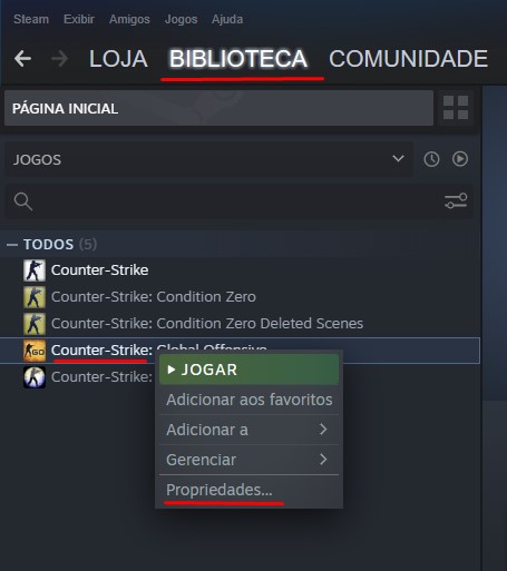 Steam dando erro ao iniciar